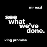 King Promise Ft. Mr Eazi – See What We’ve Done