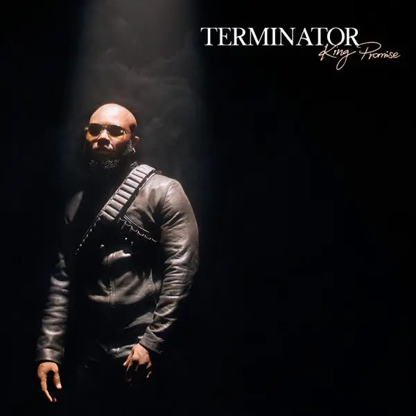 king promise - terminator