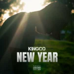 Kingco – New Year
