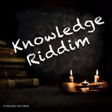 knowledge riddim - stringray records