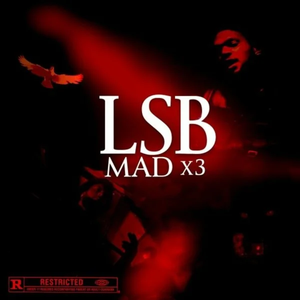 Lsb - Mad X3