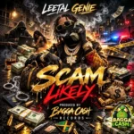 Leetal Genie – Scam Likely