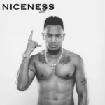 Leftside – Niceness