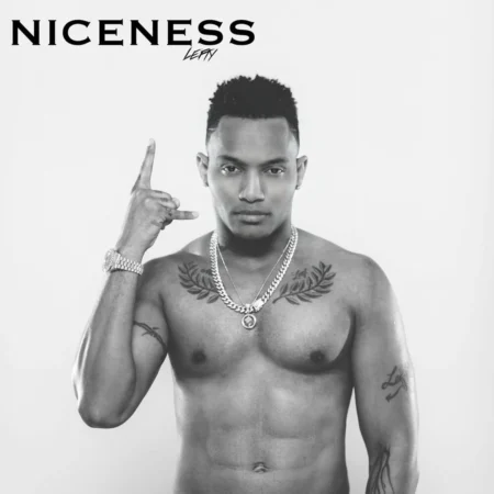 Leftside – Niceness Leftside - Niceness