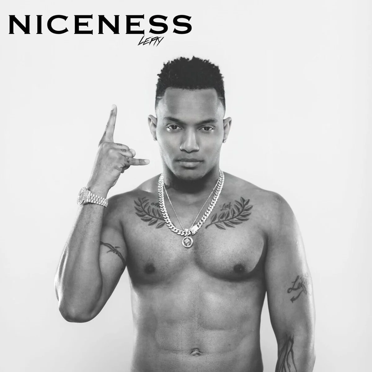 Leftside - Niceness