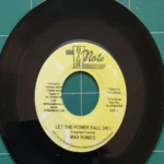 Let The Power Fall Riddim – Various Labels