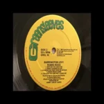 Like How You Kiss And Caress Me Riddim – Volcano Records