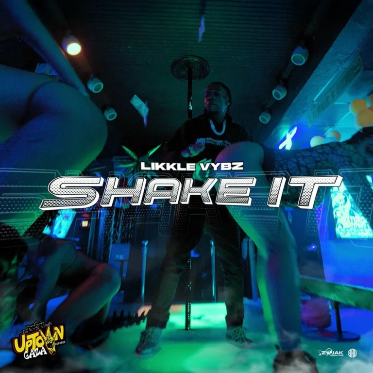 Likkle Vybz - Shake It
