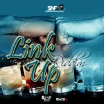 Link Up Riddim – Simply Natural Family