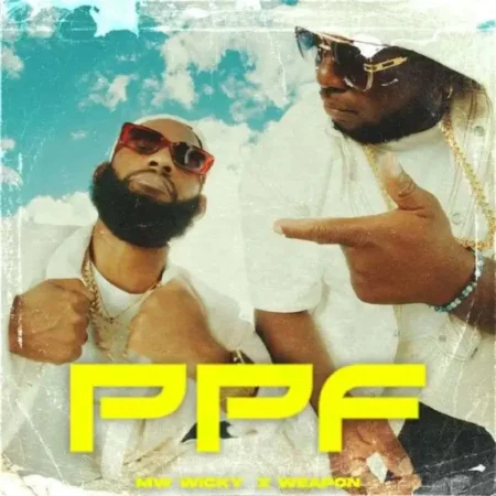 Mw Wicky X Weapon - Ppf