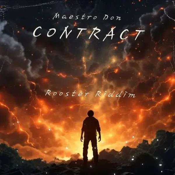 Maestro Don - Contract