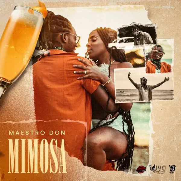 maestro don - mimosa