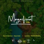 Magnificent Riddim – Back Ah Yard Records