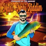 Mahi-Mahi Riddim – Deeper Vision Recordings