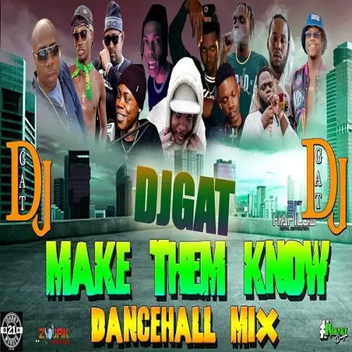 make them know dancehall mixtape by dj cat