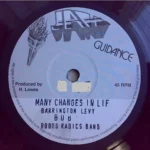 Many Changes In Life Riddim – Volcano Records