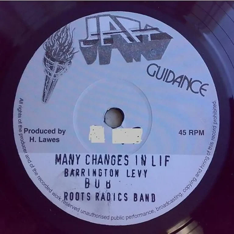 Many Changes In Life Riddim - Volcano Records