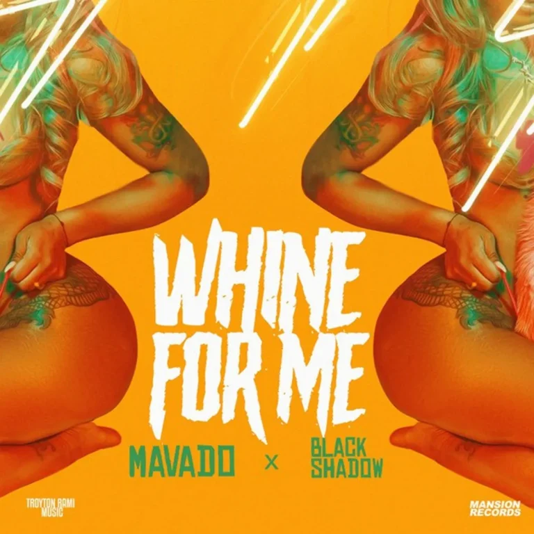 Mavado X Black Shadow - Whine For Me