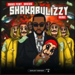 Mavo Ft. Davido – Shakabulizzy (Remix)
