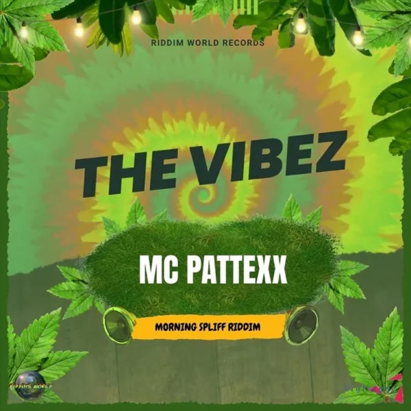 Mc Pattexx - The Vibez