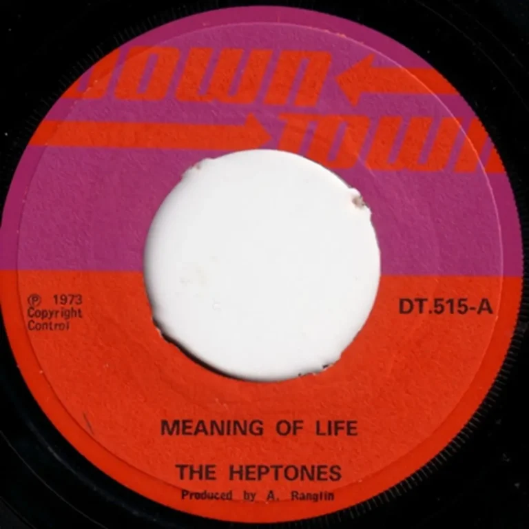 Meaning Of Life Riddim - Downtown