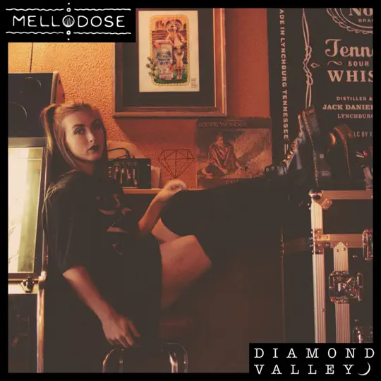 Mellodose - Diamond Valley (album)