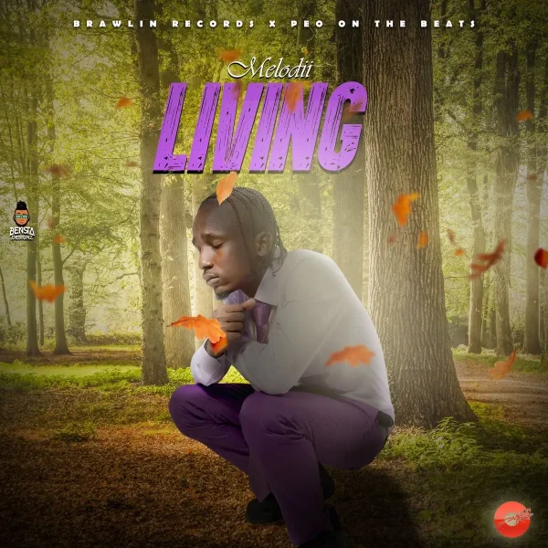 Melodii - Living