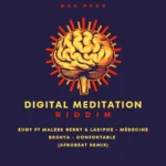 Mikisan – Digital Meditation Riddim