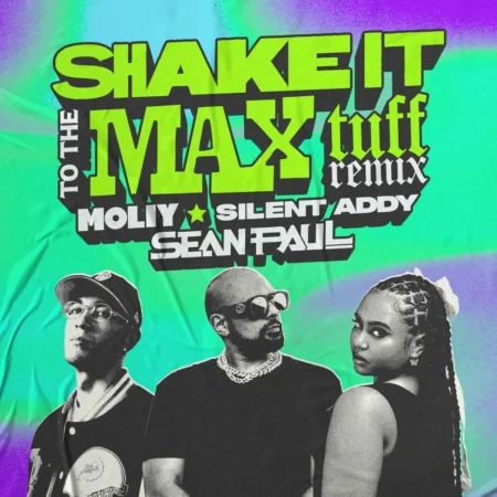 Molly, Silent Addy & Sean Paul - Shake It To Di Max (tuff Remix)