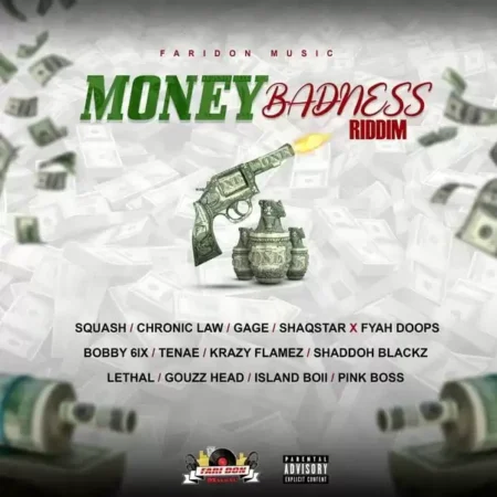 money badness riddim - faridon music