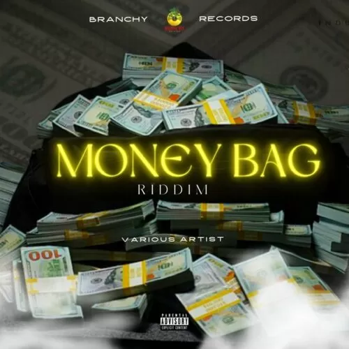 money bag riddim - branchy records