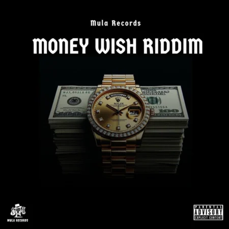 Money Wish Riddim - Mula Records