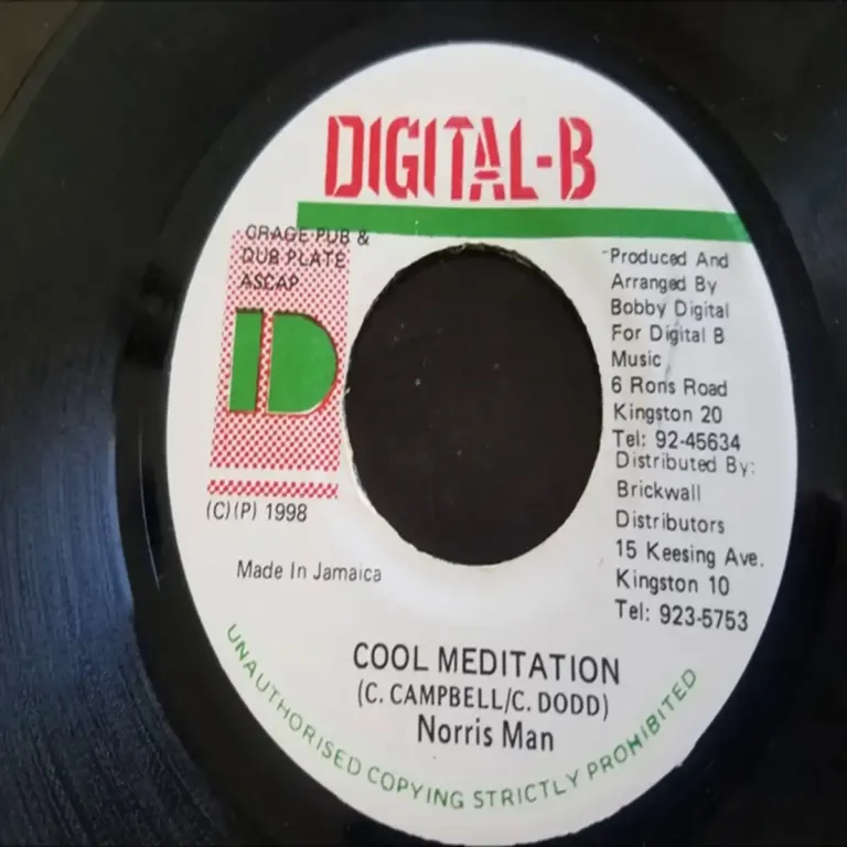 Movie Star Riddim - Various Labels