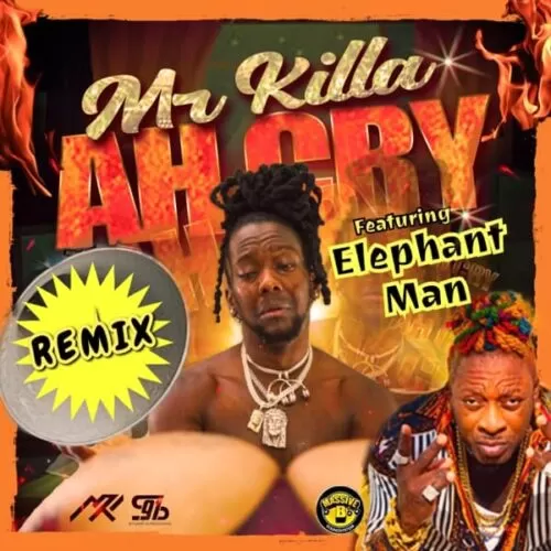 mr. killa/massive b ft. elephant man - ah cry (remix)