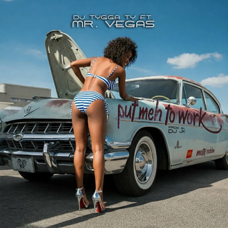 Mr. Vegas Ft. Dj Tygga Ty - Put Meh To Work