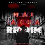 Mwari Vanokuda Riddim – Big Team Records