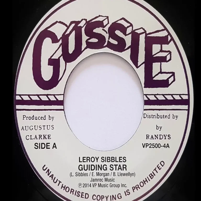 My Guiding Star Riddim - Unknown Label