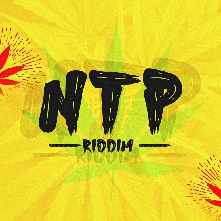 N.t.p Riddim - Walker King Recordz