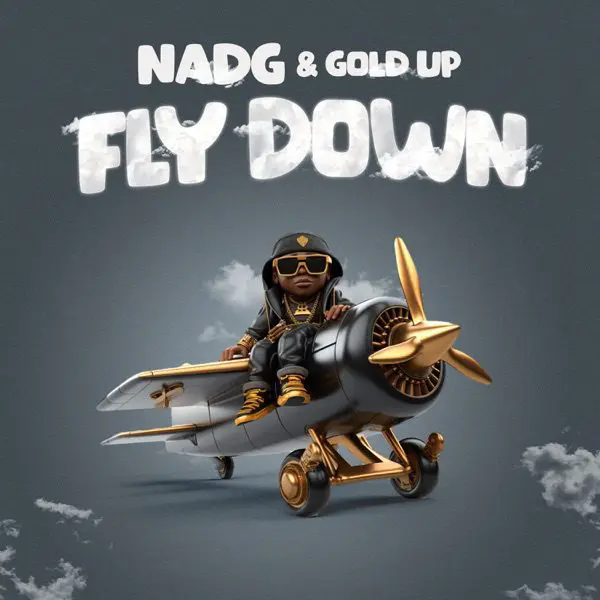 nadg - fly down