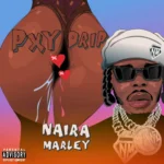 Naira Marley – Pxy Drip