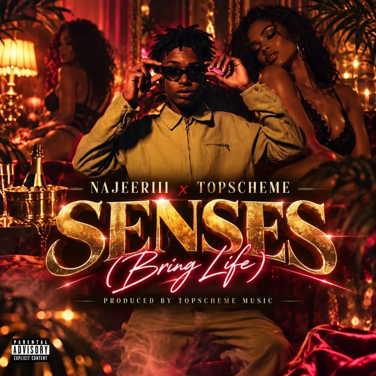 Najeeriii x Top Scheme – Senses (Bring Life)