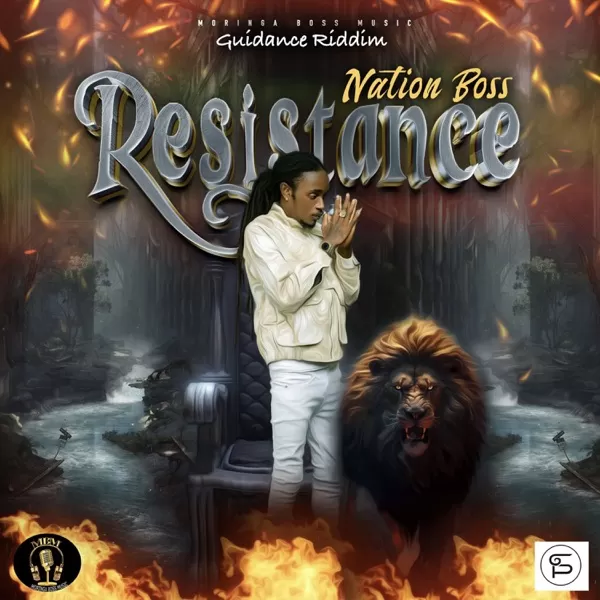 nation boss - resistance