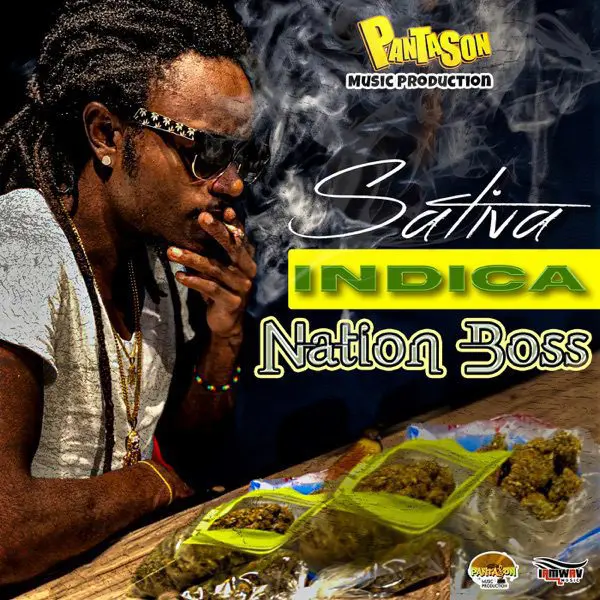 nation boss - sativa indica