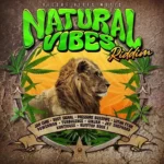 Natural Vibes Riddim – Reggae Vibes Music