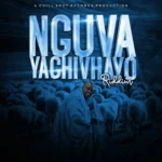 Nguva Yachivhayo Riddim – Chillspot Records