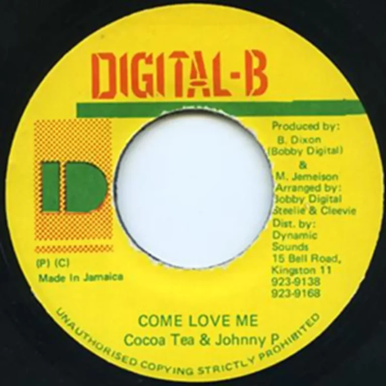 Nice Girls Riddim - Digital-B