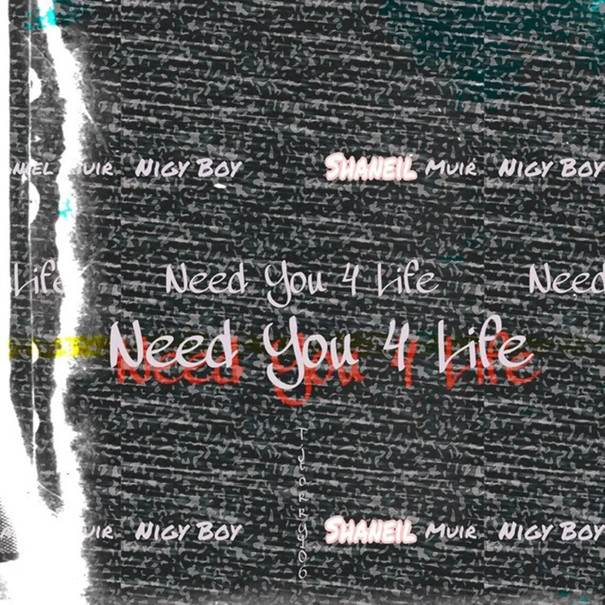 Nigy Boy & Shaneil Muir – Need You 4 Life