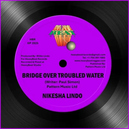 Nikesha Lindo - Bridge Over Troubled Water
