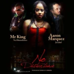 No Disturbance Riddim (2016) – Outlaw Muzik