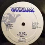 No Gun Riddim – Waterhouse, Taurus